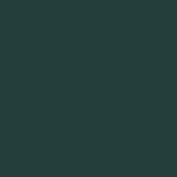 Стекломагниевый лист (СМЛ) RAL 6012 Чёрно-зелёный